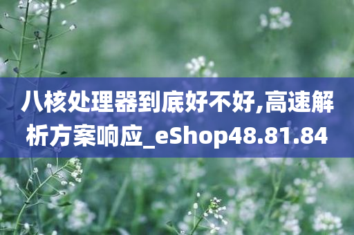 八核处理器到底好不好,高速解析方案响应_eShop48.81.84