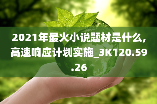 2021年最火小说题材是什么,高速响应计划实施_3K120.59.26