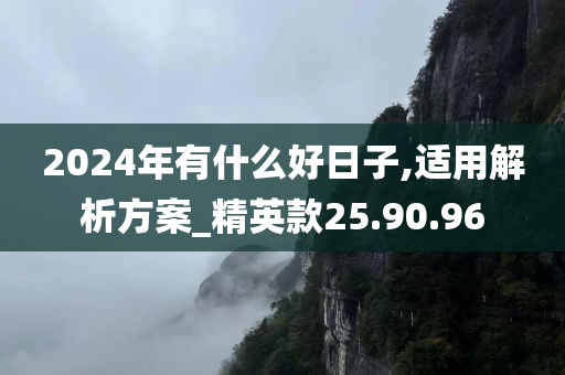 2024年有什么好日子,适用解析方案_精英款25.90.96