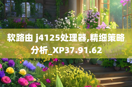 软路由 j4125处理器,精细策略分析_XP37.91.62