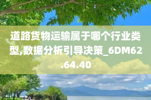 道路货物运输属于哪个行业类型,数据分析引导决策_6DM62.64.40