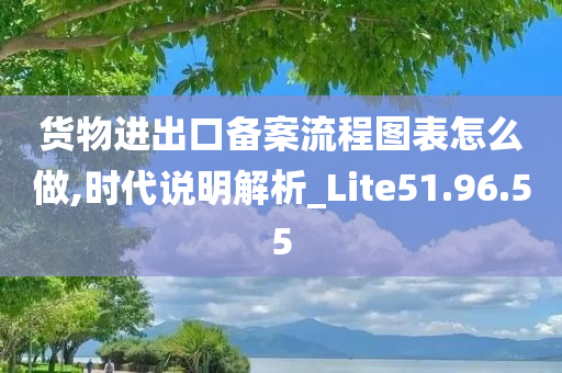 货物进出口备案流程图表怎么做,时代说明解析_Lite51.96.55