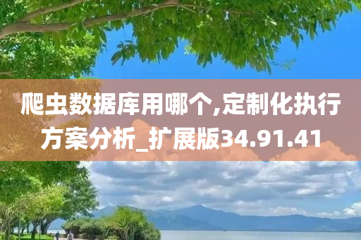 爬虫数据库用哪个,定制化执行方案分析_扩展版34.91.41