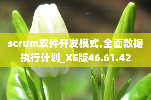 scrum软件开发模式,全面数据执行计划_XE版46.61.42