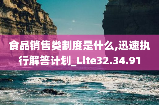 食品销售类制度是什么,迅速执行解答计划_Lite32.34.91