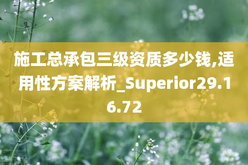 施工总承包三级资质多少钱,适用性方案解析_Superior29.16.72