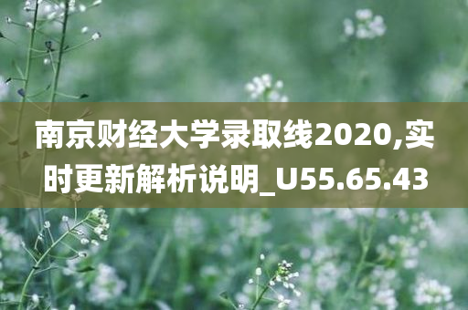 南京财经大学录取线2020,实时更新解析说明_U55.65.43