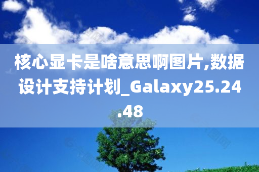 核心显卡是啥意思啊图片,数据设计支持计划_Galaxy25.24.48