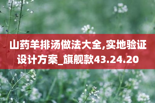 山药羊排汤做法大全,实地验证设计方案_旗舰款43.24.20