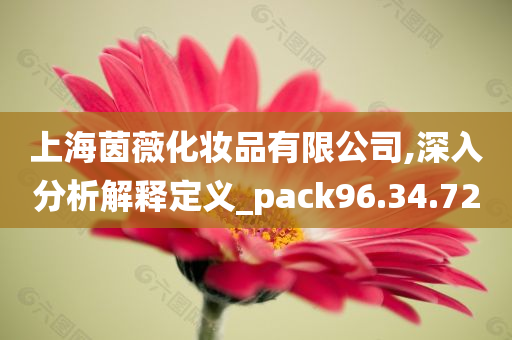 上海茵薇化妆品有限公司,深入分析解释定义_pack96.34.72