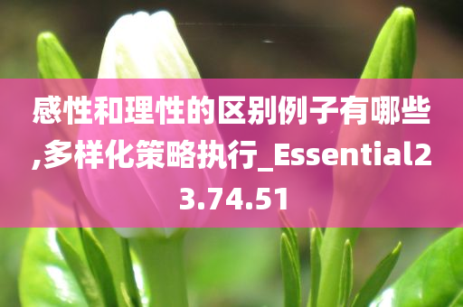 感性和理性的区别例子有哪些,多样化策略执行_Essential23.74.51