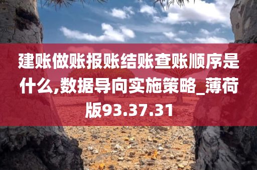 建账做账报账结账查账顺序是什么,数据导向实施策略_薄荷版93.37.31