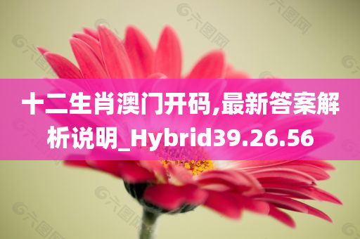 十二生肖澳门开码,最新答案解析说明_Hybrid39.26.56