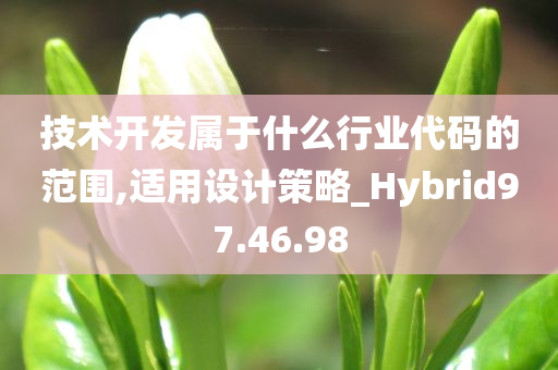 技术开发属于什么行业代码的范围,适用设计策略_Hybrid97.46.98