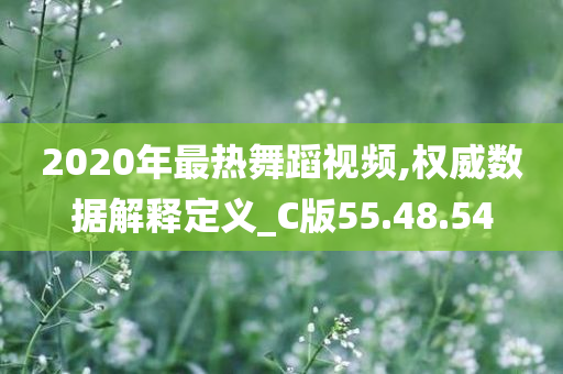 2020年最热舞蹈视频,权威数据解释定义_C版55.48.54