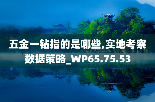 五金一钻指的是哪些,实地考察数据策略_WP65.75.53