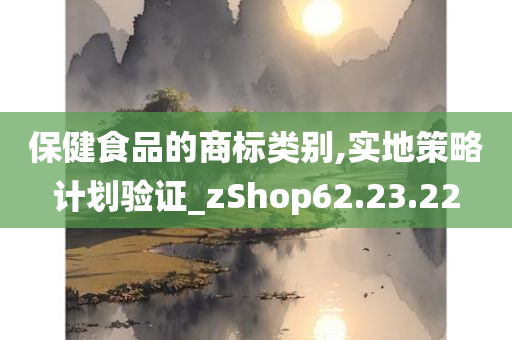 保健食品的商标类别,实地策略计划验证_zShop62.23.22