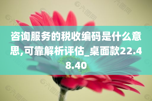 咨询服务的税收编码是什么意思,可靠解析评估_桌面款22.48.40