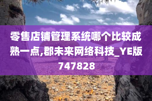 零售店铺管理系统哪个比较成熟一点,郡未来网络科技_YE版747828