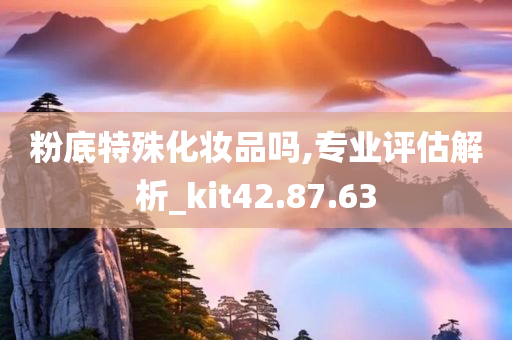 粉底特殊化妆品吗,专业评估解析_kit42.87.63