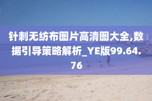 针刺无纺布图片高清图大全,数据引导策略解析_YE版99.64.76