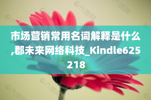 市场营销常用名词解释是什么,郡未来网络科技_Kindle625218