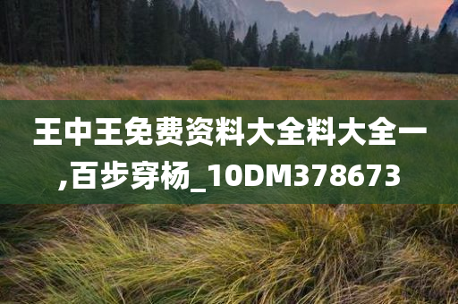 王中王免费资料大全料大全一,百步穿杨_10DM378673