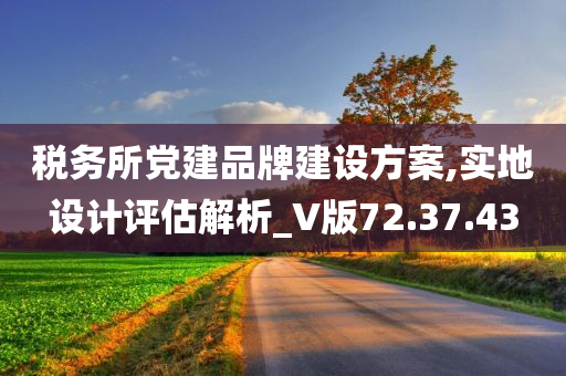 税务所党建品牌建设方案,实地设计评估解析_V版72.37.43