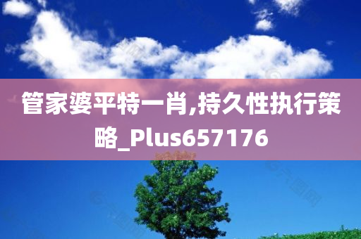 管家婆平特一肖,持久性执行策略_Plus657176