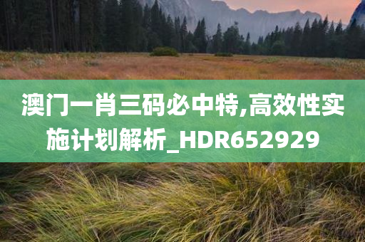 澳门一肖三码必中特,高效性实施计划解析_HDR652929