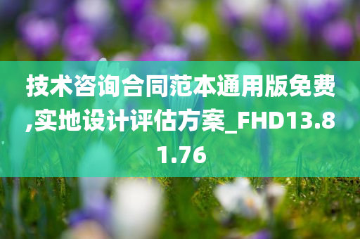 技术咨询合同范本通用版免费,实地设计评估方案_FHD13.81.76