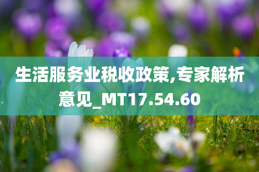 生活服务业税收政策,专家解析意见_MT17.54.60