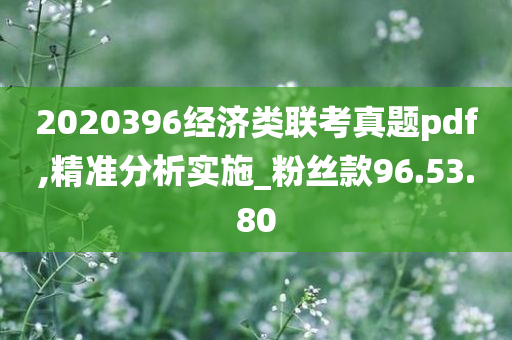 2020396经济类联考真题pdf,精准分析实施_粉丝款96.53.80