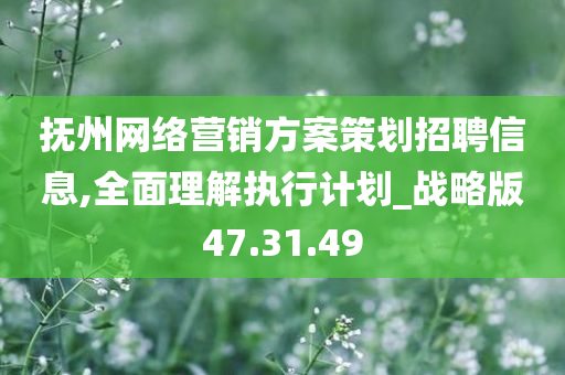 抚州网络营销方案策划招聘信息,全面理解执行计划_战略版47.31.49