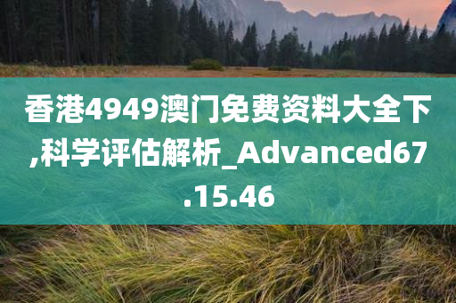 香港4949澳门免费资料大全下,科学评估解析_Advanced67.15.46