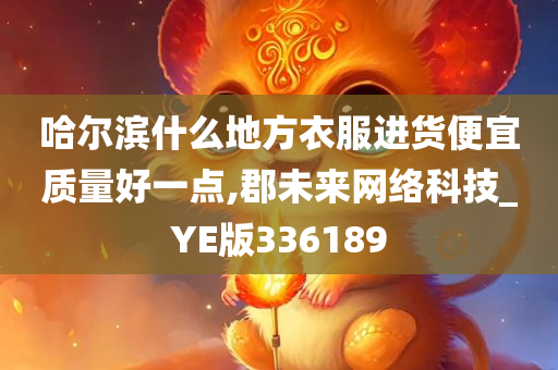 哈尔滨什么地方衣服进货便宜质量好一点,郡未来网络科技_YE版336189