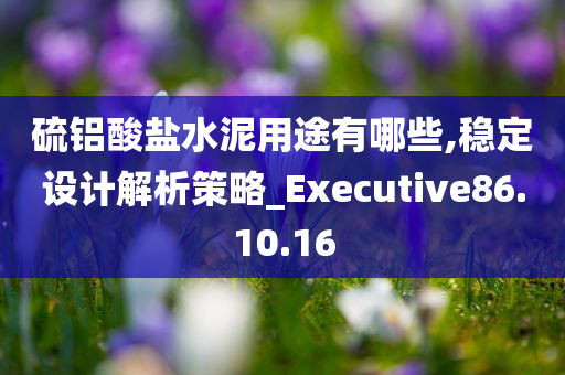 硫铝酸盐水泥用途有哪些,稳定设计解析策略_Executive86.10.16