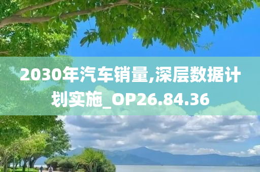 2030年汽车销量,深层数据计划实施_OP26.84.36