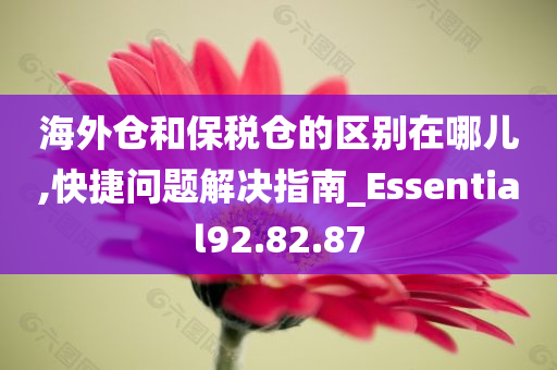 海外仓和保税仓的区别在哪儿,快捷问题解决指南_Essential92.82.87