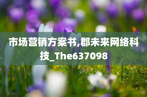 市场营销方案书,郡未来网络科技_The637098