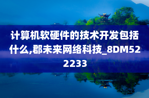 计算机软硬件的技术开发包括什么,郡未来网络科技_8DM522233