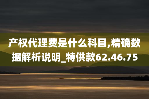 产权代理费是什么科目,精确数据解析说明_特供款62.46.75