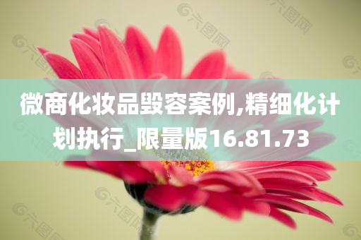 微商化妆品毁容案例,精细化计划执行_限量版16.81.73