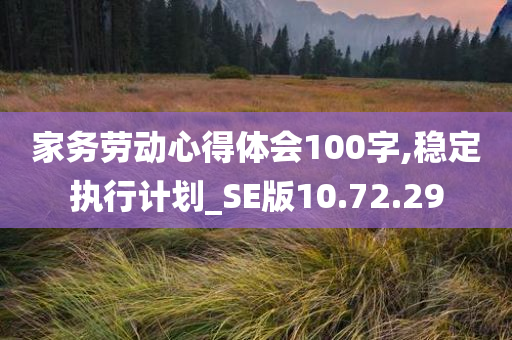 家务劳动心得体会100字,稳定执行计划_SE版10.72.29