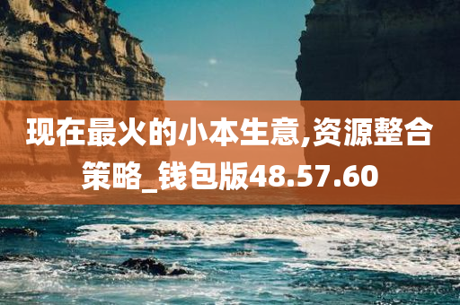 现在最火的小本生意,资源整合策略_钱包版48.57.60