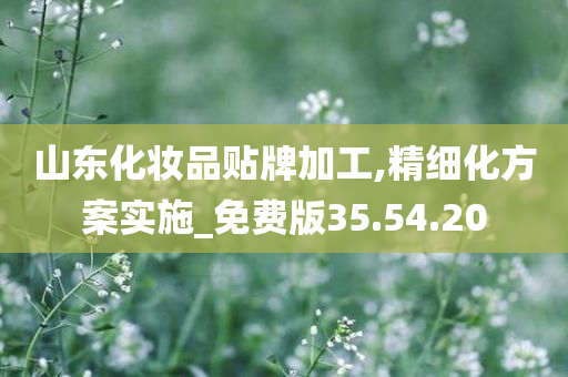 山东化妆品贴牌加工,精细化方案实施_免费版35.54.20