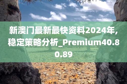 新澳门最新最快资料2024年,稳定策略分析_Premium40.80.89