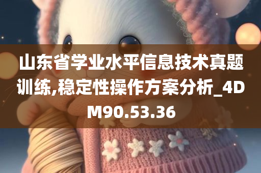 山东省学业水平信息技术真题训练,稳定性操作方案分析_4DM90.53.36