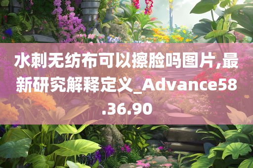 水刺无纺布可以擦脸吗图片,最新研究解释定义_Advance58.36.90