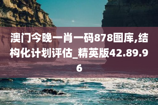 澳门今晚一肖一码878图库,结构化计划评估_精英版42.89.96